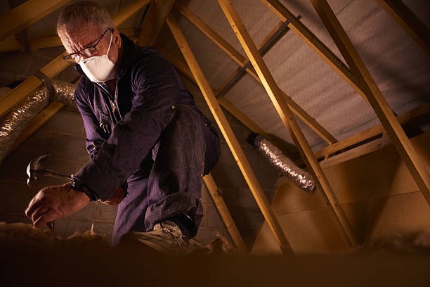 Best Insulation Installation Services in Centerton, AR